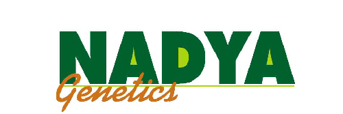 Logo Nadya Genetics-02